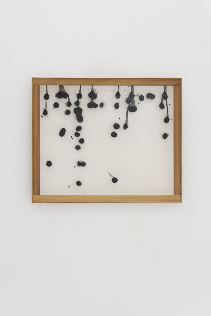 Jordi Alcaraz, Sense titol - Ed. 12/14, Carbon, resin and methacrylate, 2023, 100 x 120 cm, Courtesy Alzueta Gallery