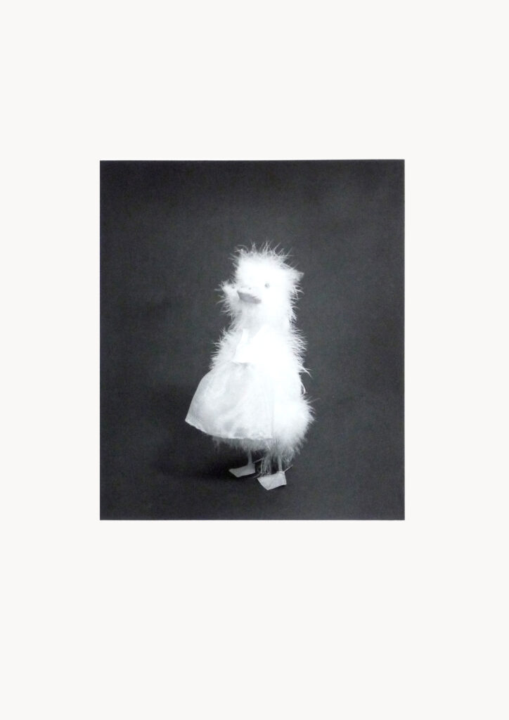 Patito/Bailarina, 2009, photogravure, 78 x 57.5 cm, édition 30 ex.
