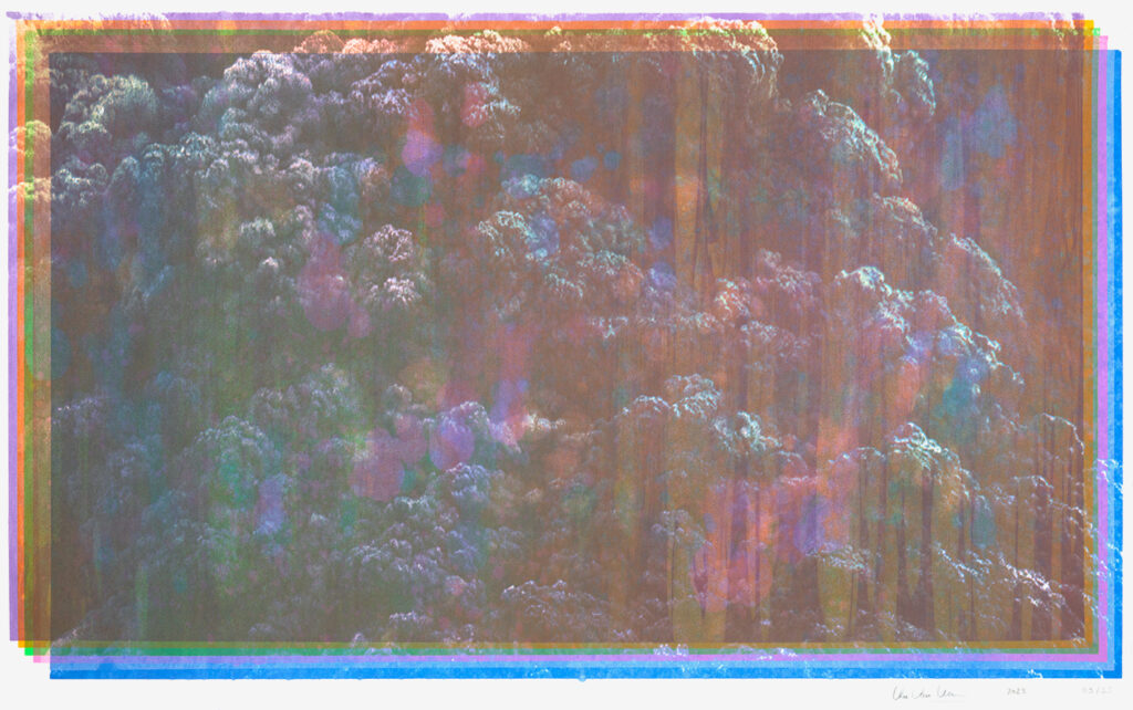 Thu Van Tran Les Couleurs du gris, 2023 / Signed, dated, and numbered lower right / Screen print on Arches 88 300 gsm paper / 47 x 75 cm / Edition of 55 unique copies + 10 A.P. + 15 H.C.