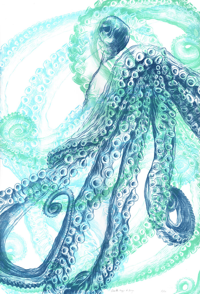 Camille Pozzo di Borgho, Octopus vert