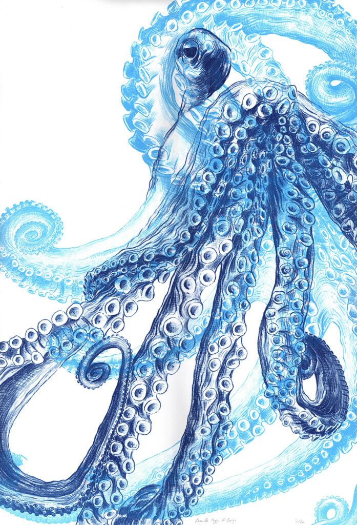 Camille Pozzo di Borgho, Octopus bleu