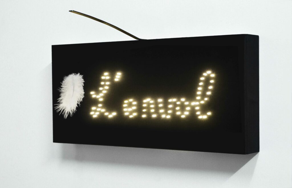 L'Envol, Mixed media, mixed media, 30 x 57 x 7 cm