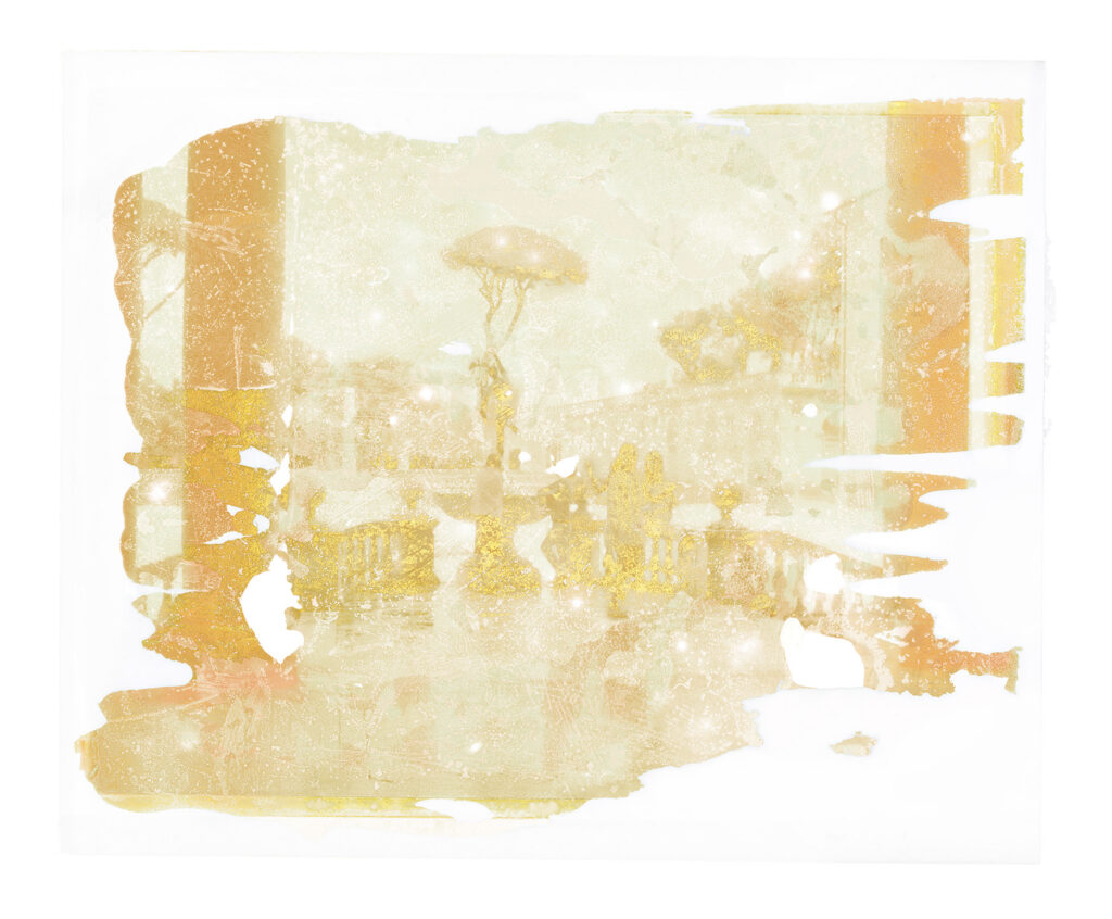 Les vestiges indociles IX - 2026 - Lichenotype on Hahnemühle paper - 33 x 40 cm - Courtesy of Léonard Bourgois Beaulieu & Galerie Alain Gutharc