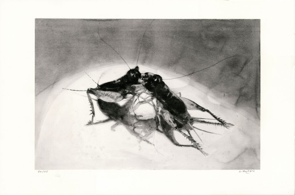 Ru XiaoFan, Bataille